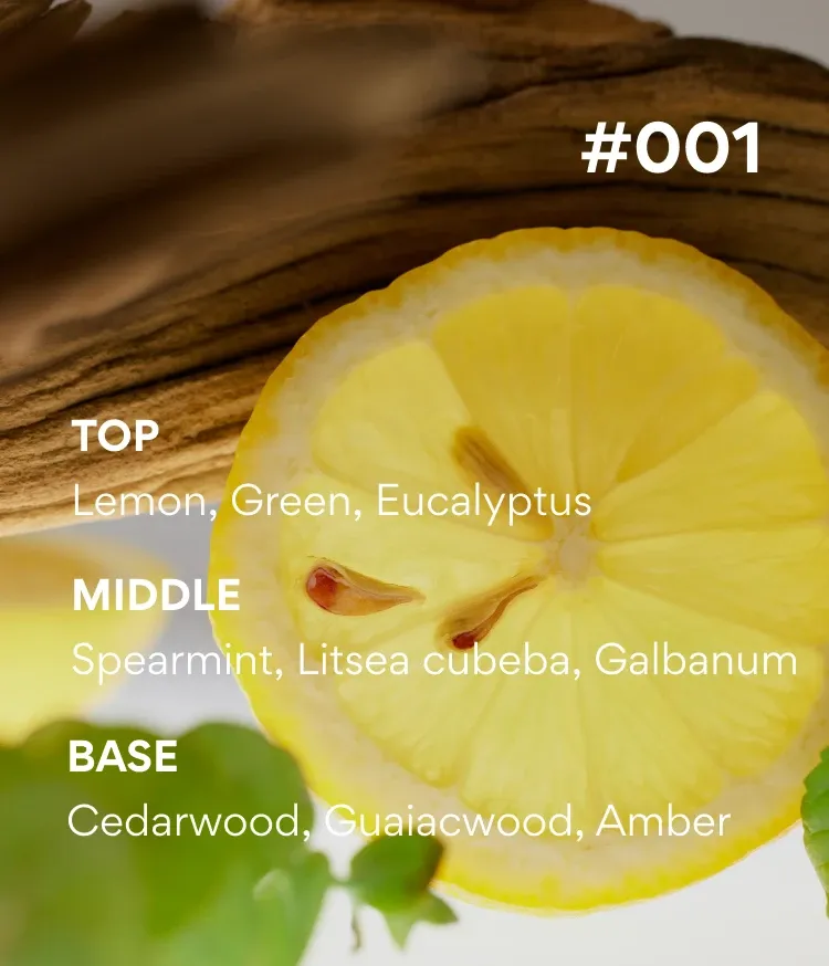 새로운 섬에서 만난 자연에서 모티브를 얻은 푸르른 향을 바탕으로 다채롭게 펼쳐지는 싱그럽고 풍성한 '시그니처 향' 시리즈. 향을 가득 머금은 밀키 텍스처가 피부에 착 감기듯 실키하게 스며들어 내 살냄새인 듯 오래오래 향기롭게 해주는 이니스프리 아일 넘버 바디 로션