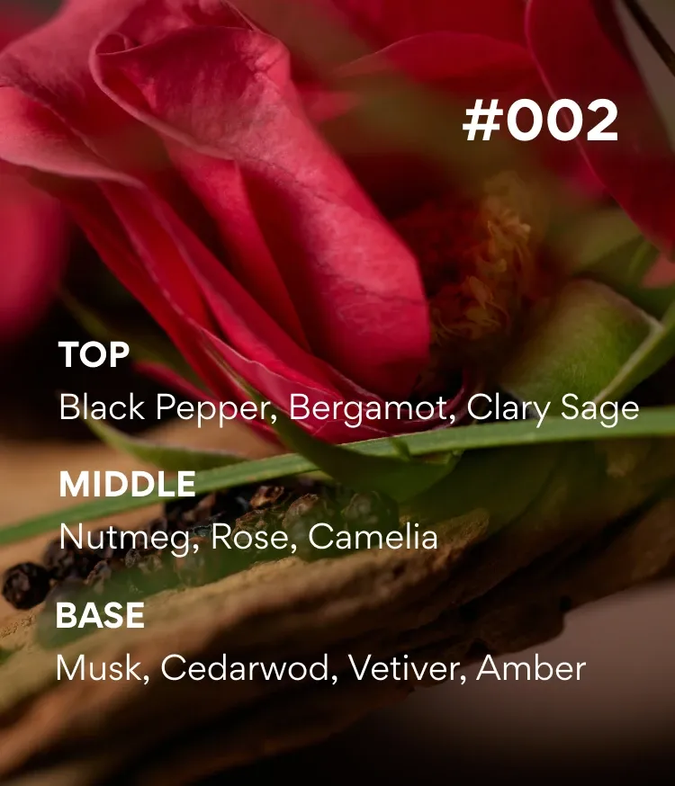 새로운 섬에서 만난 자연에서 모티브를 얻은 푸르른 향을 바탕으로 다채롭게 펼쳐지는 싱그럽고 풍성한 '시그니처 향' 시리즈. 향을 가득 머금은 밀키 텍스처가 피부에 착 감기듯 실키하게 스며들어 내 살냄새인 듯 오래오래 향기롭게 해주는 이니스프리 아일 넘버 바디 로션