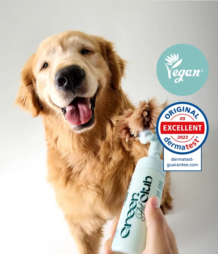 미세모 브러시 타입으로 반려동물의 발을 부드러우면서도 구석구석 꼼꼼하게 닦아주는 워터리스 타입의 이니스프리 그린펫클럽 꼼꼼 워터리스 발세정제