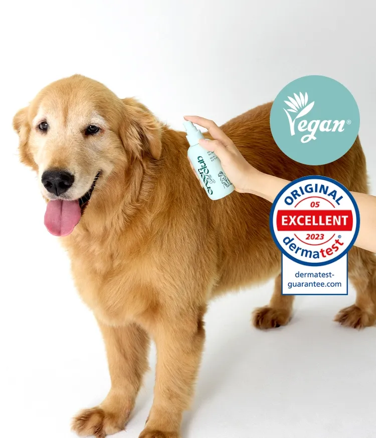 보습, 컨디셔닝, 탈취 등 산책을 자주하는 반려동물의 피모를 올인원 케어해주는 이니스프리 그린펫클럽 산책 올인원 미스트