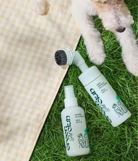 보습, 컨디셔닝, 탈취 등 산책을 자주하는 반려동물의 피모를 올인원 케어해주는 이니스프리 그린펫클럽 산책 올인원 미스트