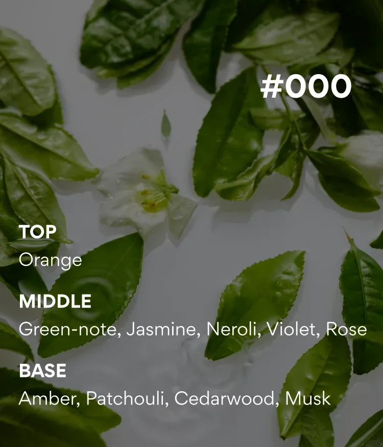 라이트한 로션 제형이 산뜻하게 스며들어 하루 종일 끈적임 없이 촉촉함을 유지하는 이니스프리 아일 넘버 바디 로션 그린티에썽스. 산뜻보습, 데일리 바디 케어 추천