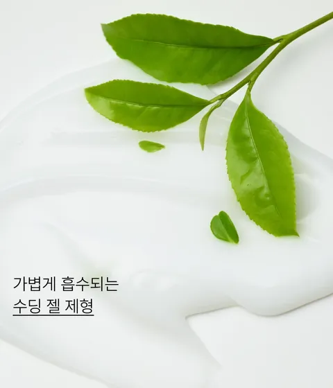 라이트한 로션 제형이 산뜻하게 스며들어 하루 종일 끈적임 없이 촉촉함을 유지하는 이니스프리 아일 넘버 바디 로션 그린티에썽스. 산뜻보습, 데일리 바디 케어 추천