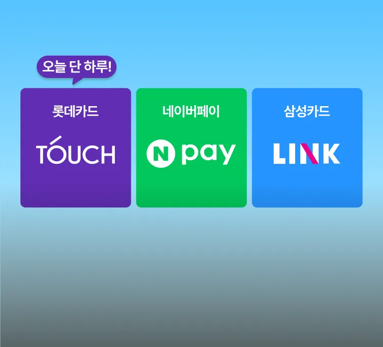 0811 빅세일 단하루 제휴 (롯데카드)