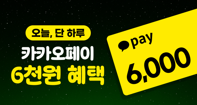 블프 세일 마지막날!  카카오페이로 최저가 도전!