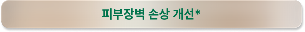 피부장벽 손상 개선*