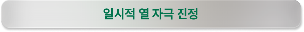 일시적 열 자극 진정