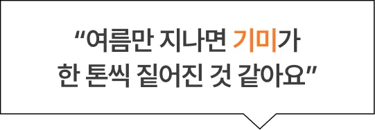 “여름만 지나면 기미가 한 톤씩 짙어진 것 같아요”