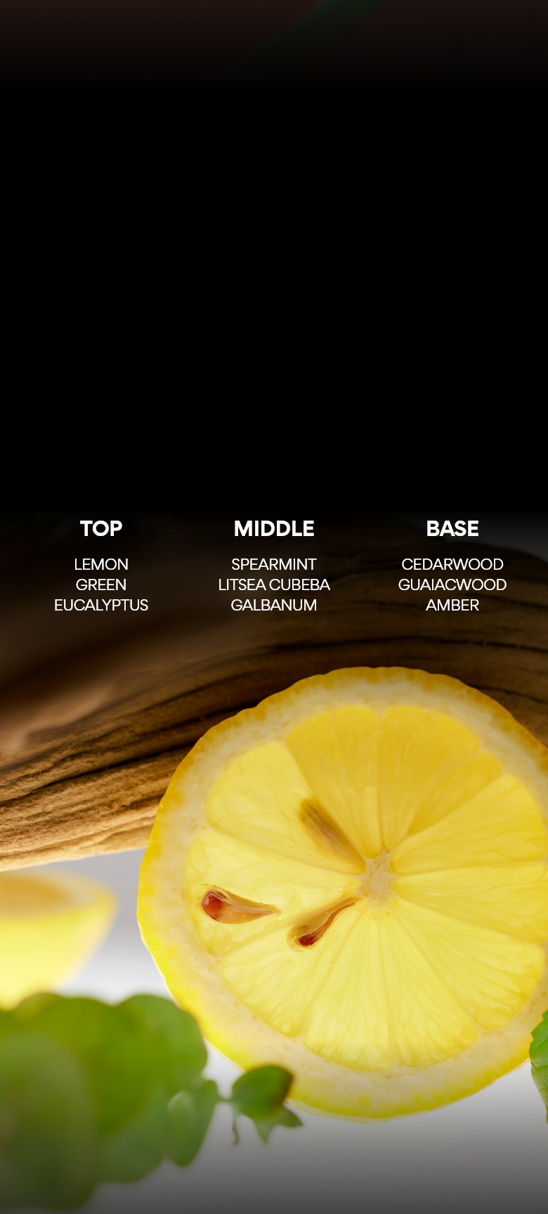 TOP Lemon Green Eucalyptus MIDDLE Spearmint Litsea cubeba  Galbanum BASE Cedarwood Guaiacwood Amber