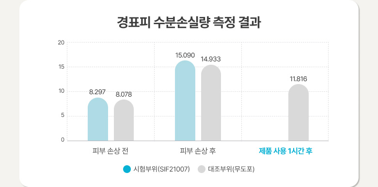 이미지11