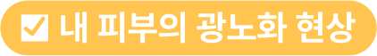내 피부의 광노화 현상
